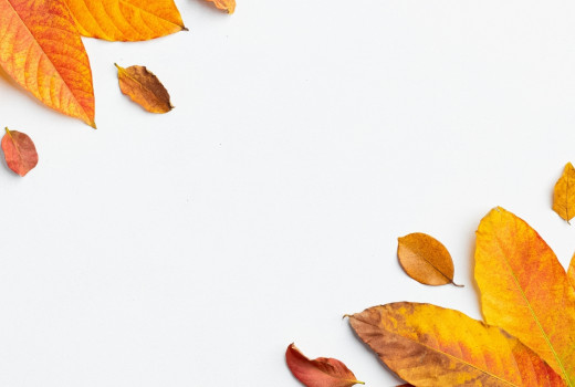 Sonbahar Aylarında Yapılacak En İyi 6 Spor ve Doğa Aktivitesi Sonbahar Aylarında Yapılacak En İyi 6 Spor ve Doğa Aktivitesi