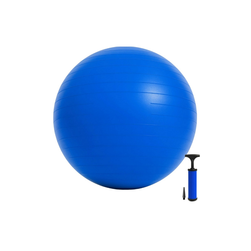 Dayanıklı Anti-Slip Kaydırmaz Büyük Boy 65 cm Pilates Topu ve Pompası