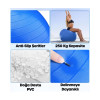 Dayanıklı Anti-Slip Kaydırmaz Büyük Boy 65 cm Pilates Topu ve Pompası