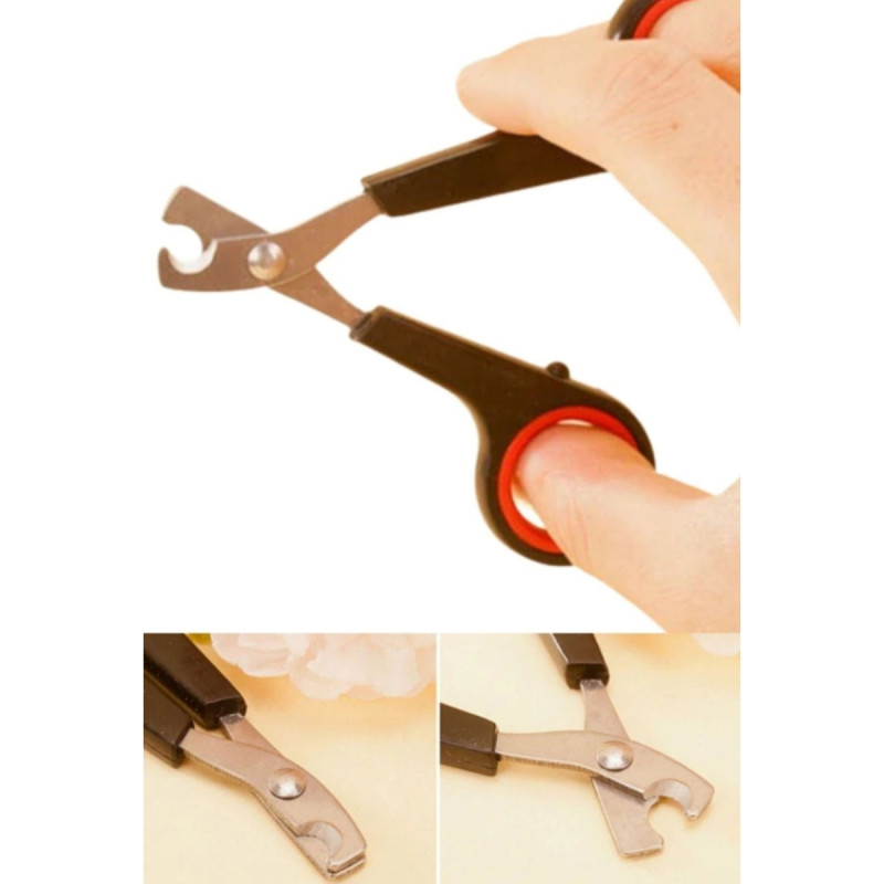 Evcil Hayvan Kedi Köpek Papağan Kuş Tırnak Makası Törpüsü Bakım Seti