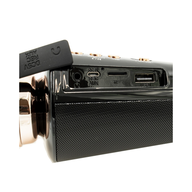 Karaoke Mikrofon LED Işıklı TWS Selfie Şarkı Kaydı SD Kart Dahili Hoparlör